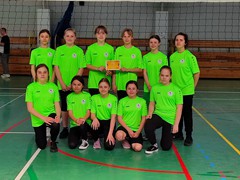 Miejskie ID siatkówka dzw (2)